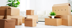 Packing Like a Pro: Strategies for Efficient and Organized Moves